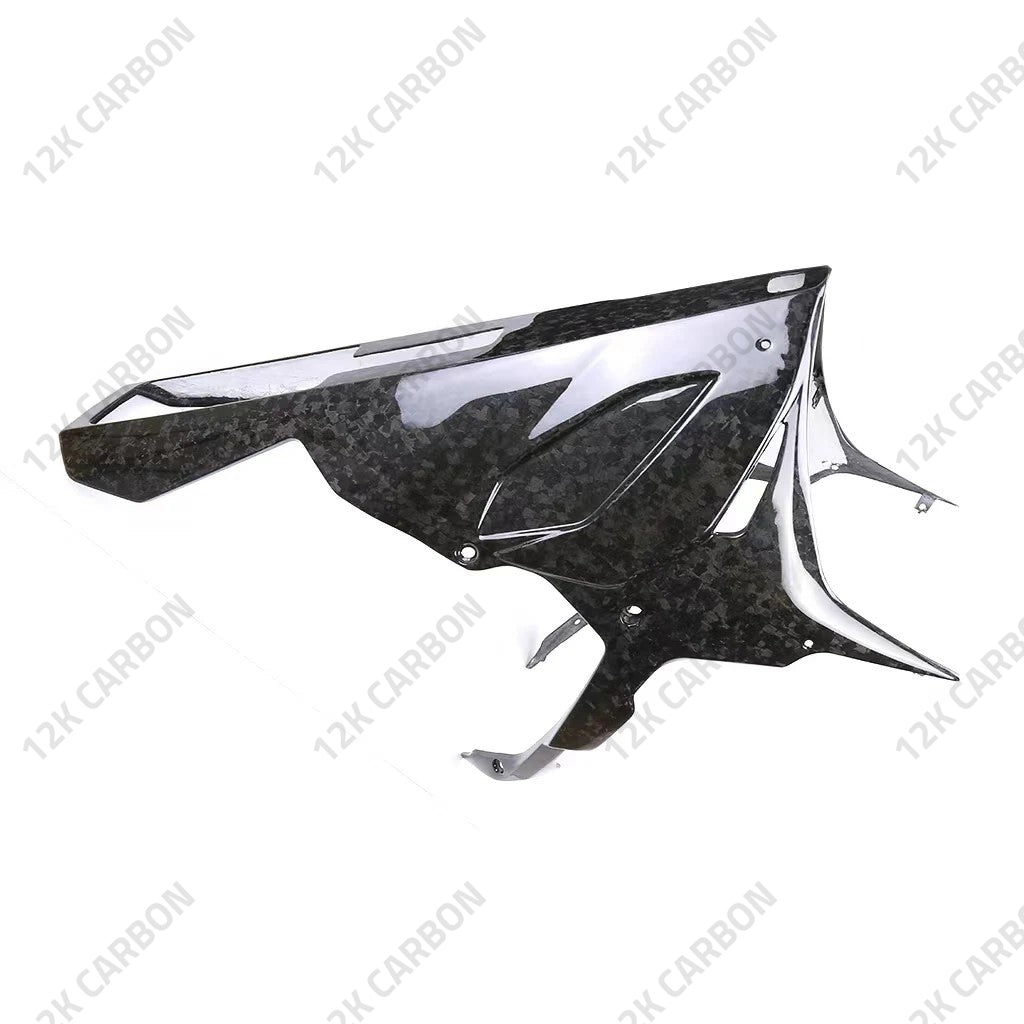 BMW S1000RR Carbon Fiber Belly Pan – view 5