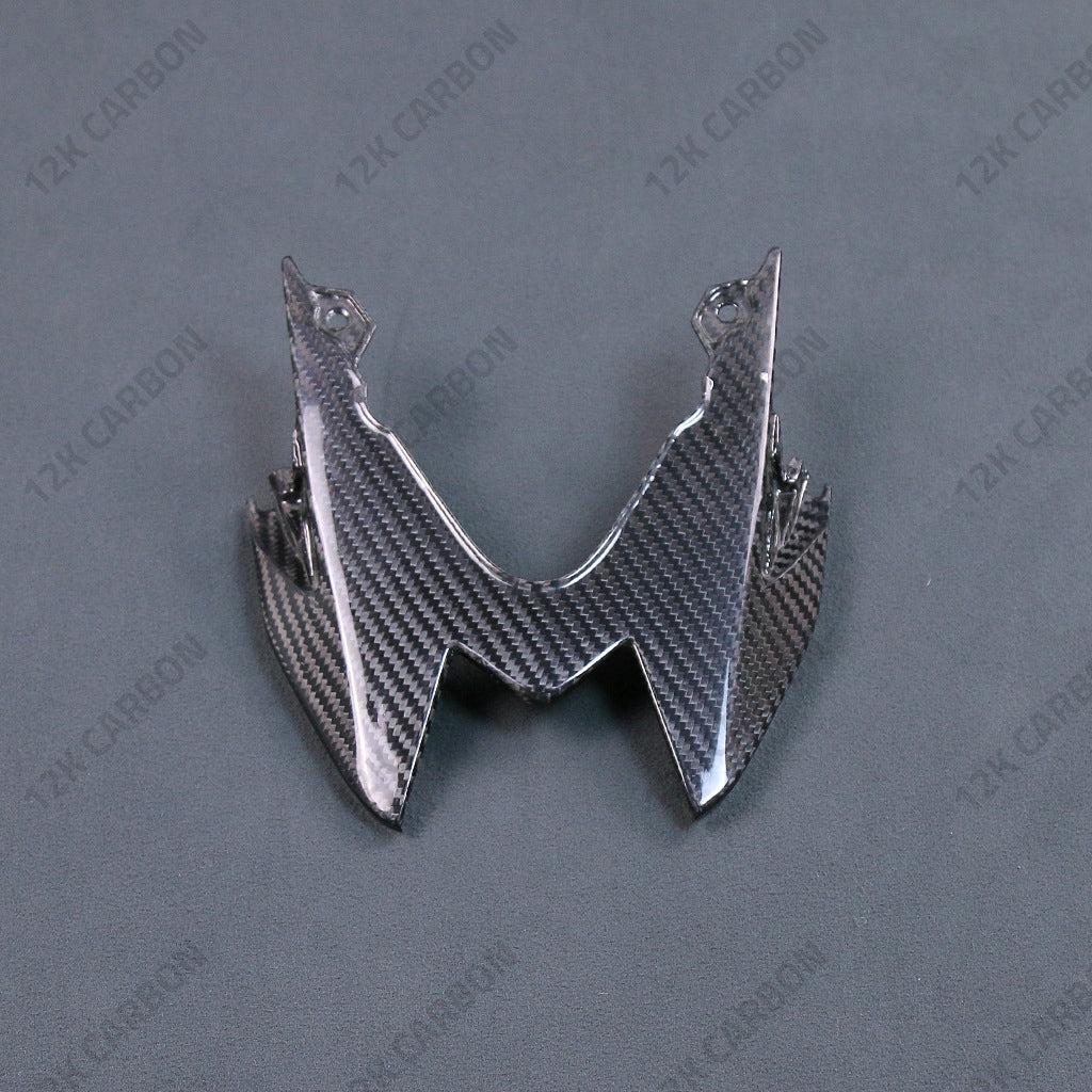 BMW S1000RR S1000R Carbon Fiber Tail Light Cover