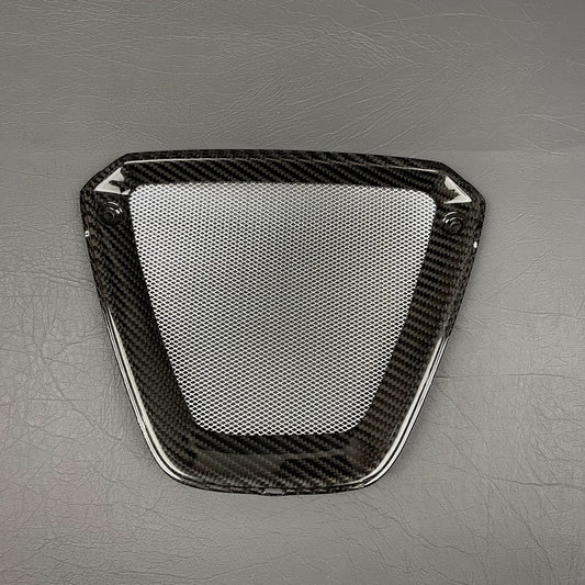 Ducati Xdiavel S Carbon Fiber Radiators Guard Protector